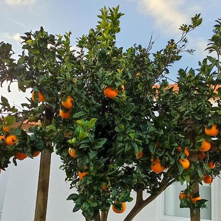 Perto Do Mar, Alojamento Local Gafanha da Boa Hora Eksteriør billede